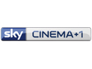 Sky Cinema +1 (Germany)